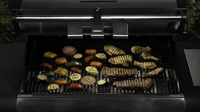 Cuisinart CGL-330 Grilluminate Expanding LED Grill Light | $17 | Amazon